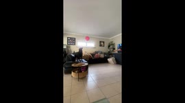 Playing Balloon Tennis With The Dog