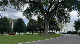 Flags lowered half-staff at White House to honor slain politician Charlie Kirk