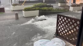 Torrential rain kills man in Tokyo, halts transport services