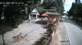 Tree falls onto Buddhist shrine at temple in northern Thailand