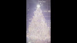 Rockefeller Christmas tree lights up at 4:30 am with no crowds around