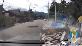 Passenger killed and driver injured when truck crashes into electricity post pulling down cables
