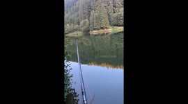 Unexpected catch at lake in Horna Lehota, Slovakia