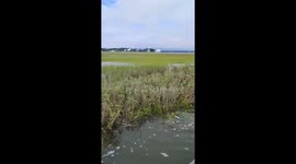 Rising tide floods marsh in Emerald Isle, North Carolina, USA