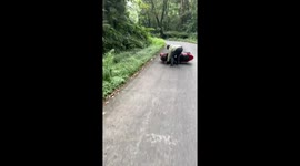 Motorbike mishap sends rider into bushes in Pekalongan, Indonesia