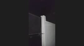 Black kitten with glowing eyes spotted at night in Las Rosas, Argentina
