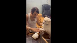 Man introduces his dog to a guinea pig in Howrah, Kolkata, India