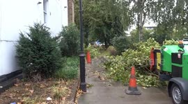 Tree cutting after the rain along West Cromwell Road in London