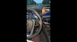 I Hit a Squirrel and It Woke Up When I Tried Saving It