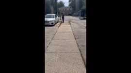 US: ICE Stop Turns Deadly, Suspect Shot by Officer in Franklin Park, Illinois
