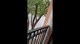 Street flooding after sudden downpour in Miami, Florida, USA