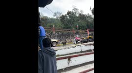 Dogs chase after pickup in Temascaltepec, Mexico