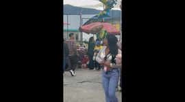 Dog Sits on a Moving Car