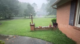 Torrential rain and thunder in Georgia, USA