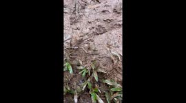 Off-road truck loses control and flips over on muddy slope