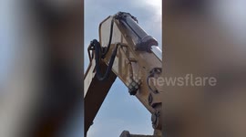 Snake emerges on excavator during construction in Thailand