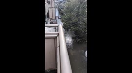 Torrential Downpour Floods Streets in Nishi-Oi