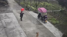Synchronized Expression of Child and Dog