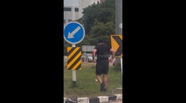 Kind driver helps pensioner cross busy road