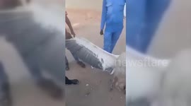 Sudan: RSF Fighters Mistake Research Bird for Saudi Spy Asset