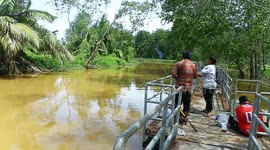 Malaysia: Timun River, the destination for Blue  shrimp, lobster, (Udang Galah Sepit Birul