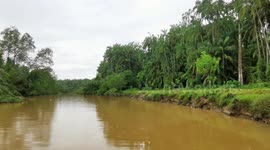 Malaysia: Timun River, the destination for Blue shrimp, lobster