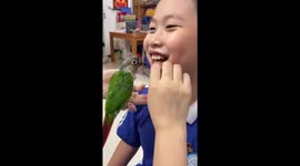 Amusing moment parrot removes schoolboy's baby tooth