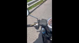 Snake emerges on motorcycle handlebars while riding
