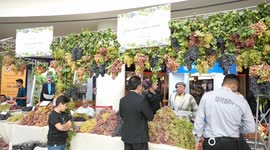Iraq: Traditional grape and honey festival held in Duhok, Iraq
