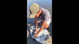 Fishermen help beached stingray give birth then release babies into sea