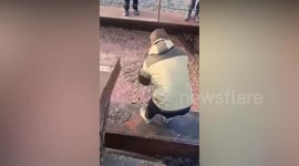 Factory staff rescue hungry bear cub from pit filled with fish entrails