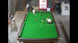 Cat joins billiards game in Heilongjiang, China