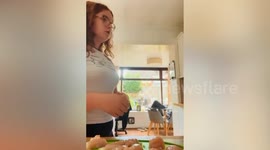 Teen scrambles for phone - while it sits in front of her