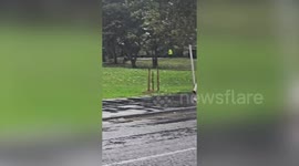 Homeless man staying inside tent in park killed by falling tree branch