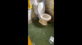 Resident horrified to find python poking out of his toilet