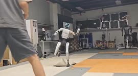 Humanoid Chinese robot gets beaten up as part of stress tests