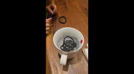 12-year-old’s boiling water hack revives hair ties — Instagram video hits 7.5M views