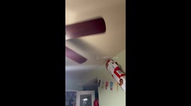 Dad who “never wanted a dog” builds DIY A/C for pup — Instagram clip hits 1M views