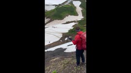 Bear Crashes Group Tour