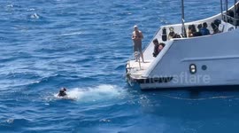 'Thistlegorm Wreck' in Egypt offers glimpse into 84 years of history for diving enthusiasts