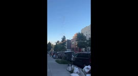 Herding the Pigeon Hurricane in Brooklyn