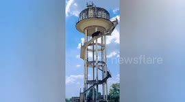 Stray bull climbs up 60ft high water tank sparking rescue bid