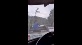 Passengers scream as wild elephant attacks cars on mountain road