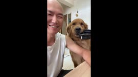Hungry dog asking food from owner in Jilin, China