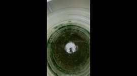 Water tank deep clean in Kerala goes viral — Video hits 9M views on Instagram
