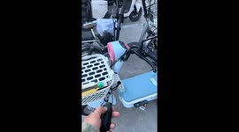Bird responds to electric motorcycle sound in Hebei, China