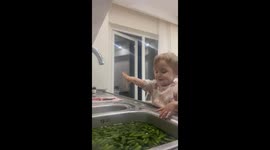 turşucu babby