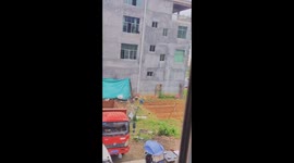 Dog leaps safely from second floor window in Jiangsu, China