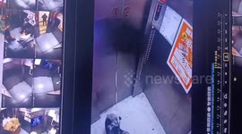 Dog rescued after becoming trapped in lift by leash