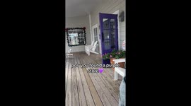 Purple paradise at Myrtle Beach—TikTok stroll racks up 5 million views